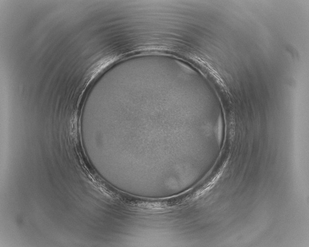 X0000115451121200912021000