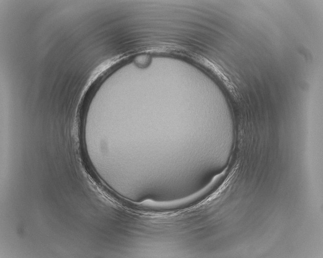 X0000115451122200912021000