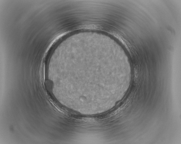 X0000115451123200912021000