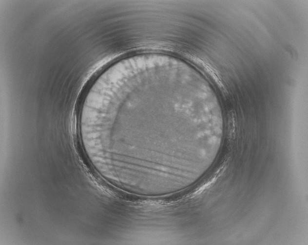 X0000115451125200912021000