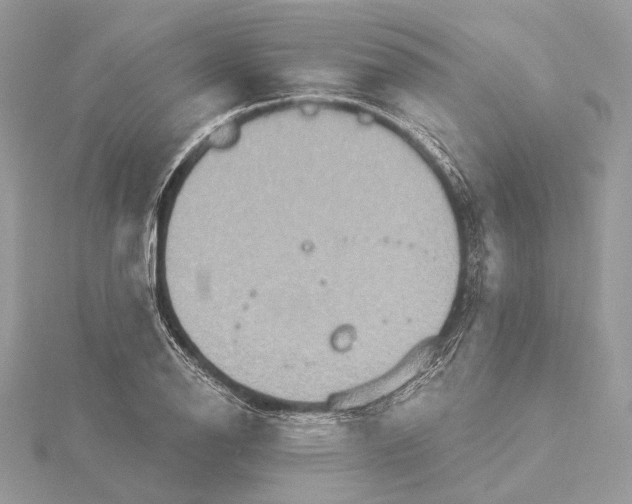 X0000115451126200912021000