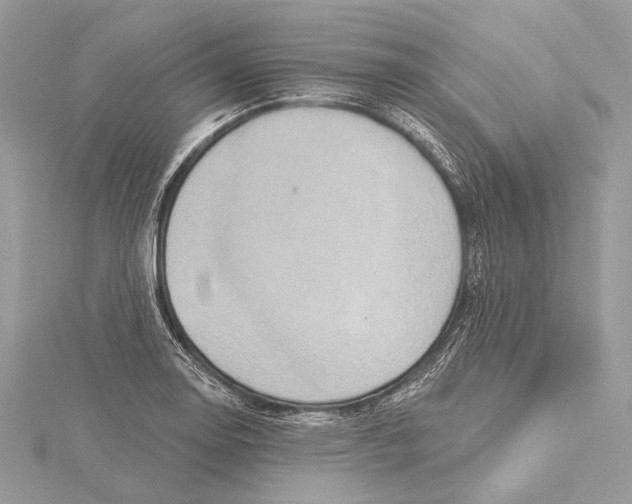 X0000115451130200912021000