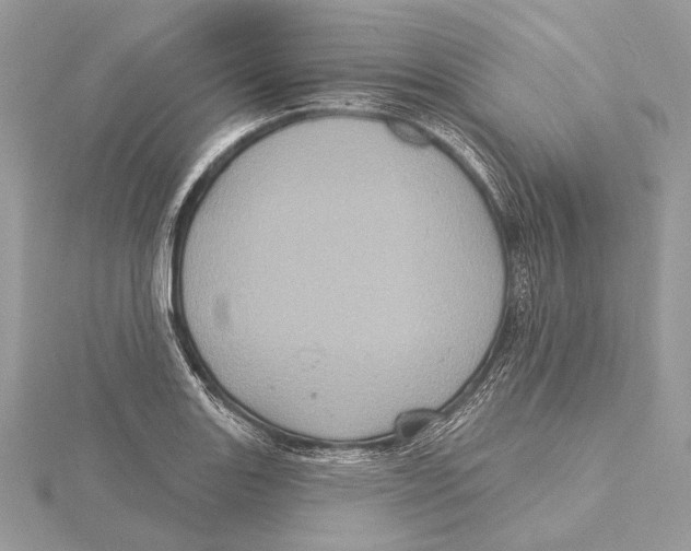 X0000115451131200912021000