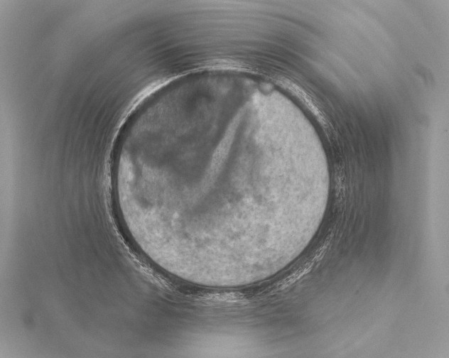 X0000115451133200912021000