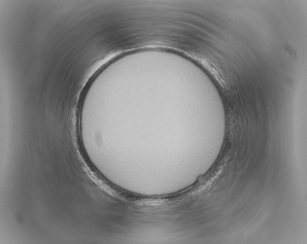 X0000115451134200912021000