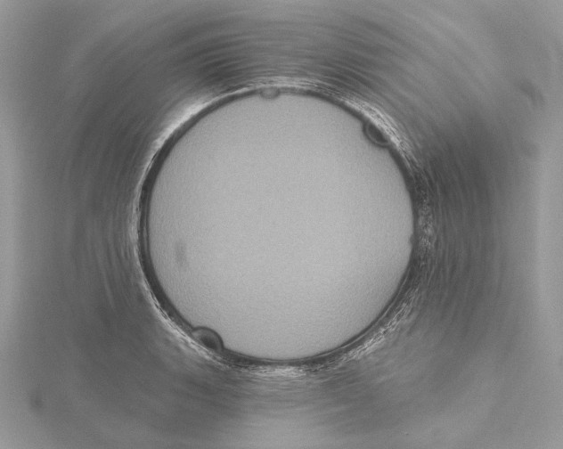 X0000115451135200912021000