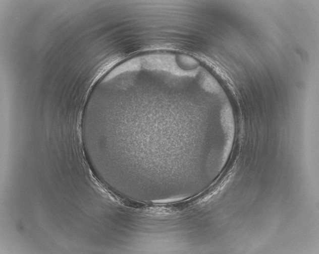 X0000115451137200912021000