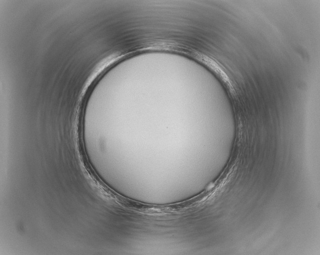 X0000115451138200912021000