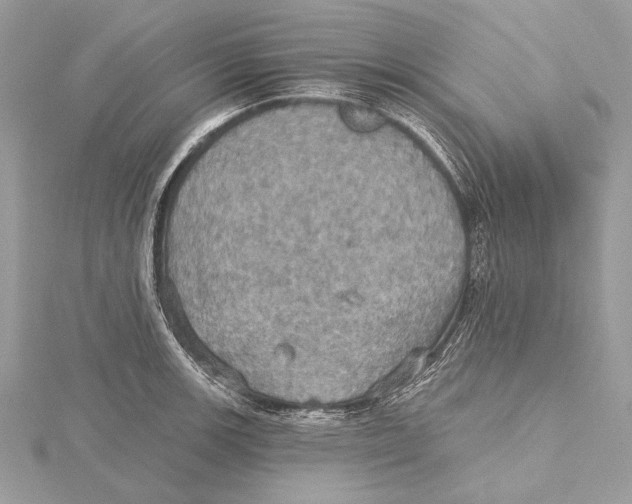 X0000115451139200912021000