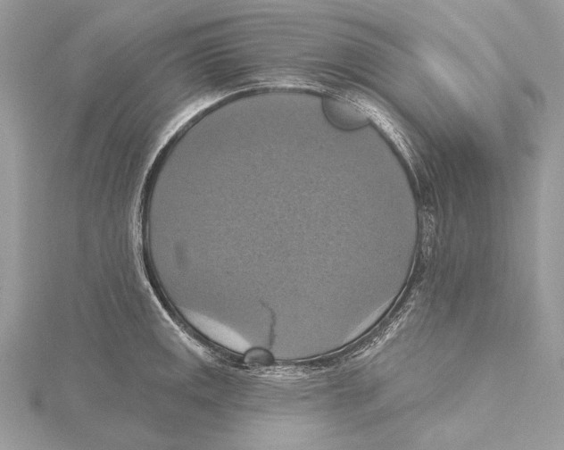 X0000115451141200912021000