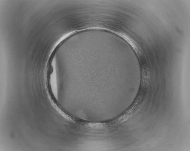 X0000115451142200912021000