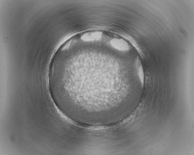 X0000115451143200912021000