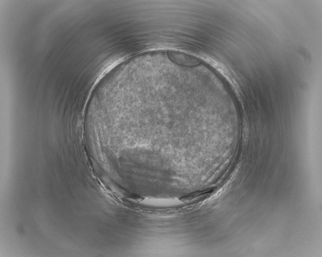 X0000115451145200912021000