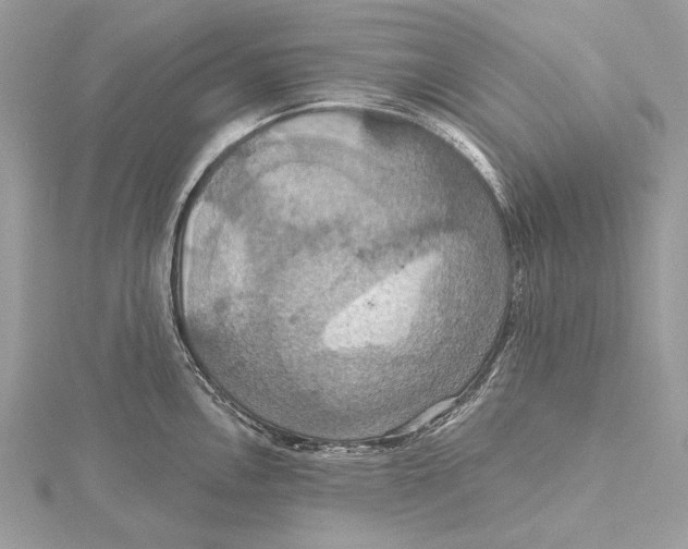 X0000115451146200912021000