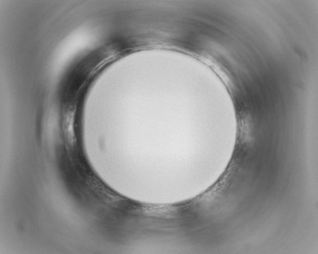 X0000115451150200912021000