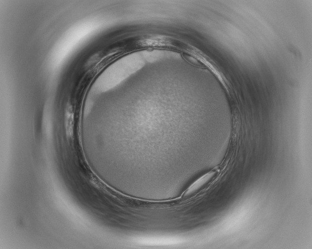 X0000115451151200912021000