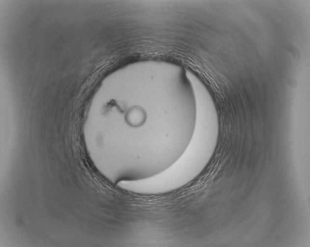 X0000115451153200912021000