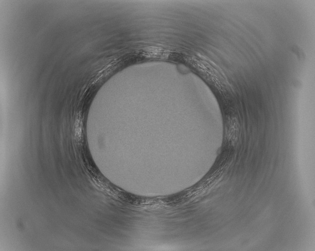 X0000115451154200912021000