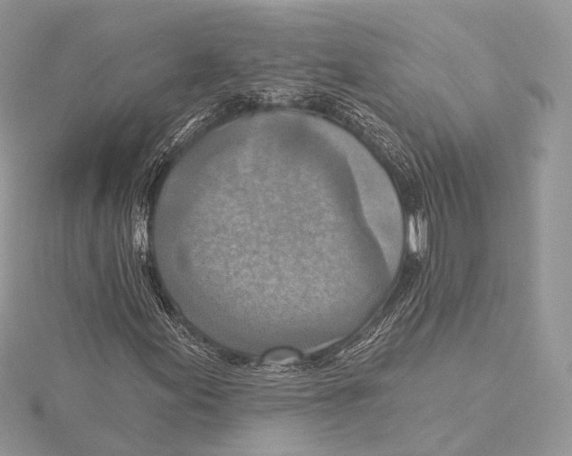 X0000115451155200912021000