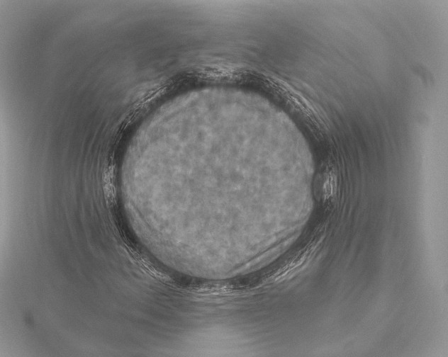 X0000115451156200912021000