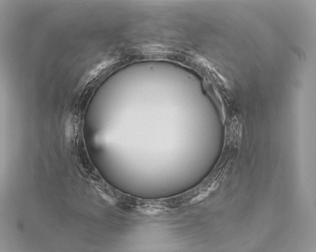 X0000115451157200912021000