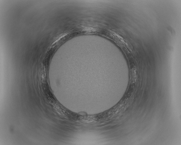 X0000115451158200912021000