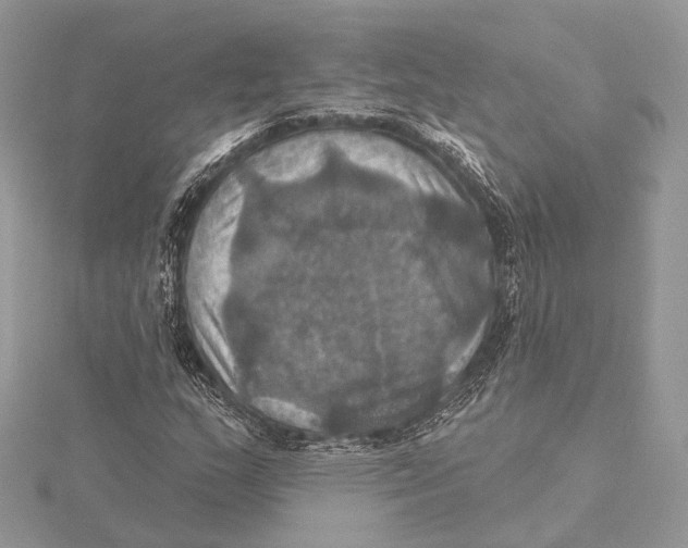 X0000115451159200912021000