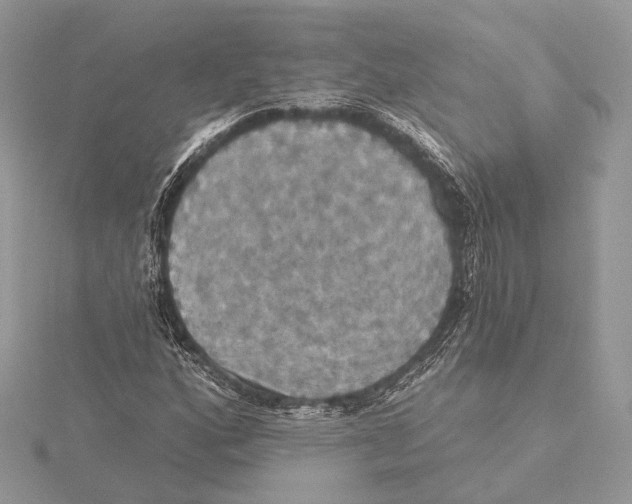 X0000115451160200912021000