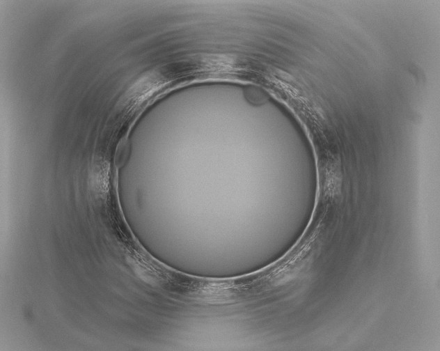 X0000115451161200912020959