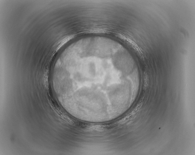 X0000115451162200912020959