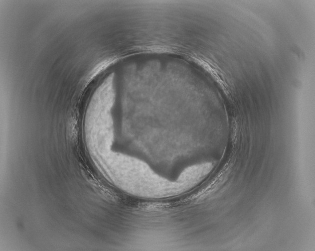 X0000115451163200912020959