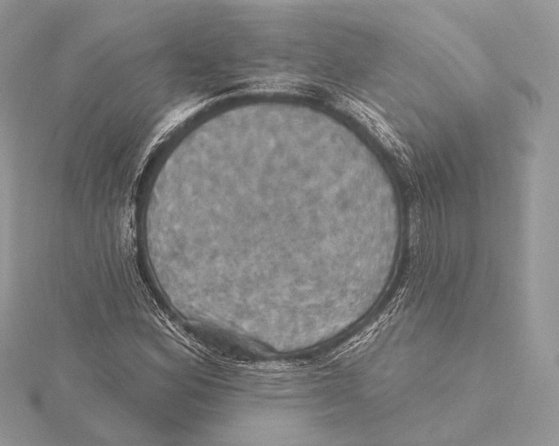 X0000115451164200912020959