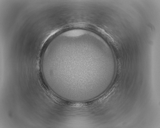 X0000115451166200912020959