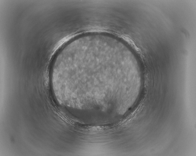 X0000115451167200912020959