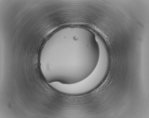 X0000115451169200912020959