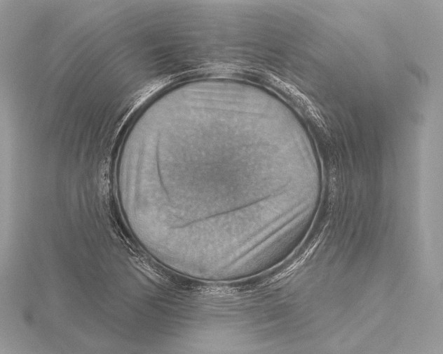 X0000115451170200912020959