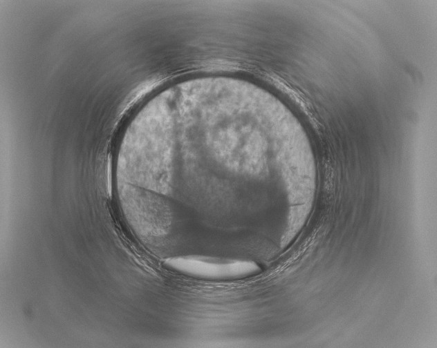 X0000115451171200912020959