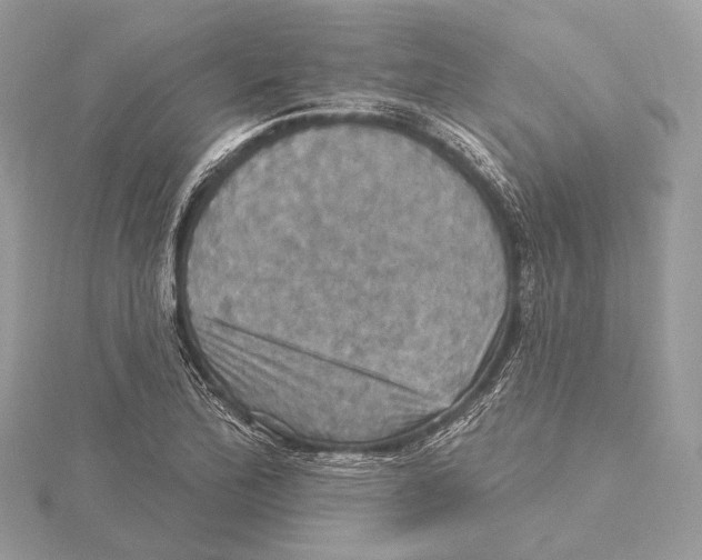 X0000115451172200912020959