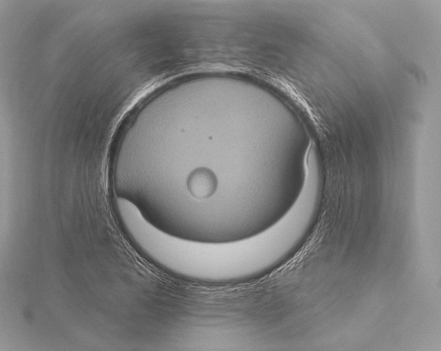 X0000115451173200912020959