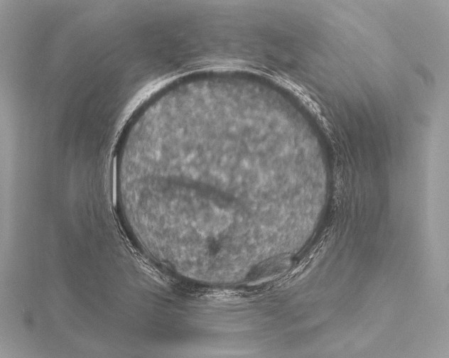 X0000115451175200912020959