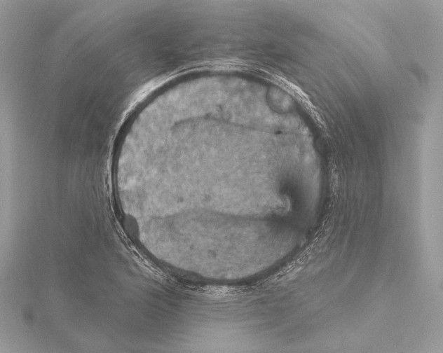 X0000115451176200912020959