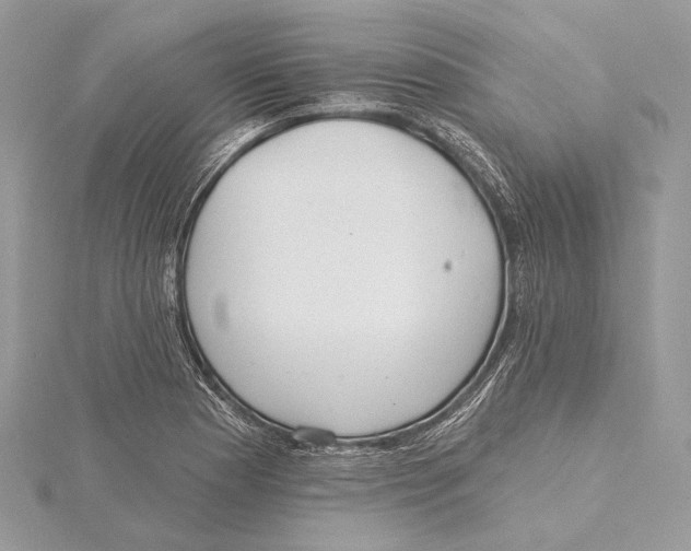 X0000115451177200912020959