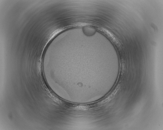 X0000115451178200912020959