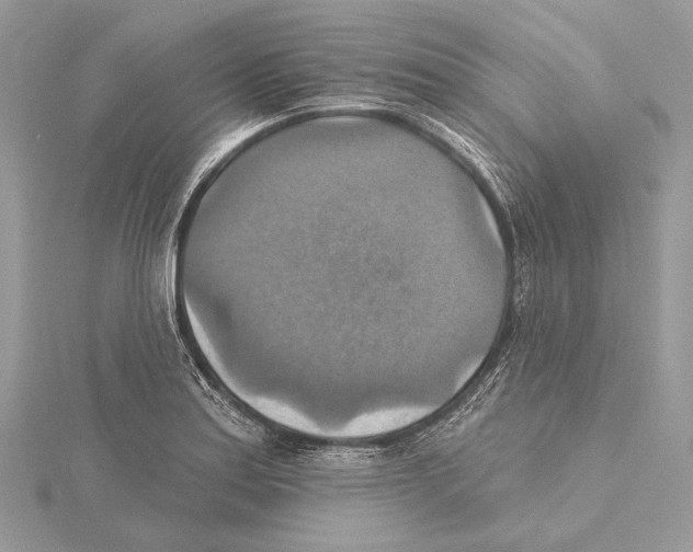 X0000115451179200912020959