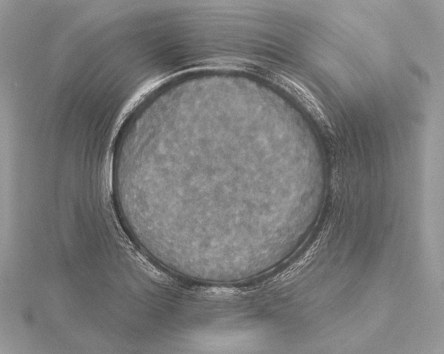 X0000115451180200912020959