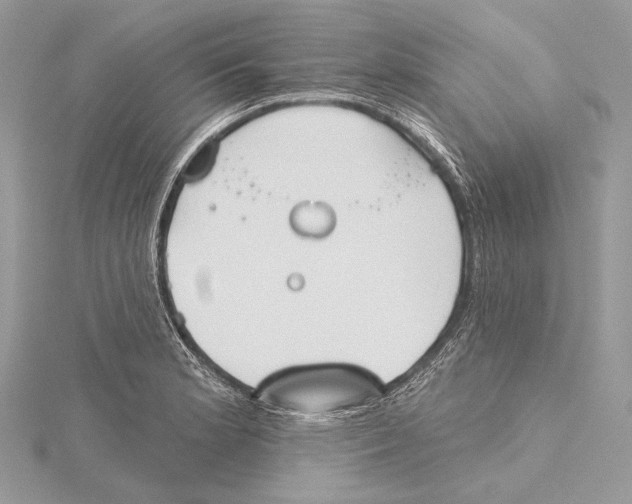 X0000115451181200912020959