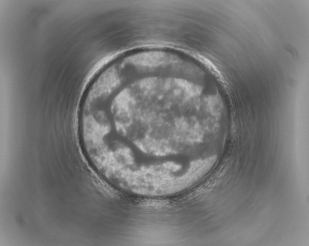 X0000115451183200912020959