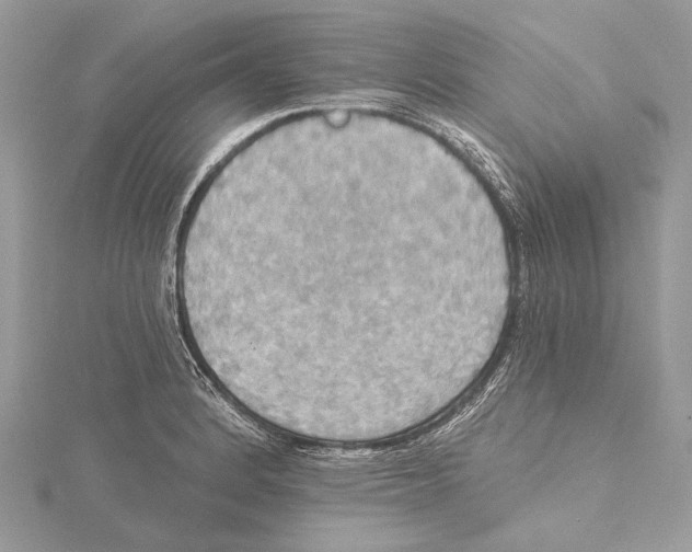 X0000115451184200912020959