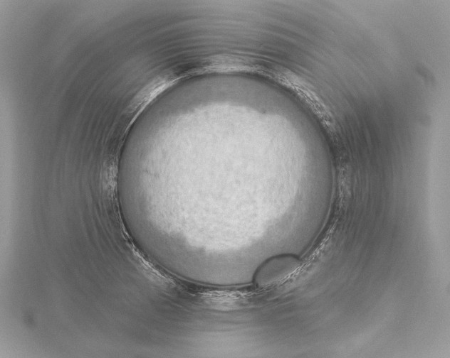 X0000115451185200912020959