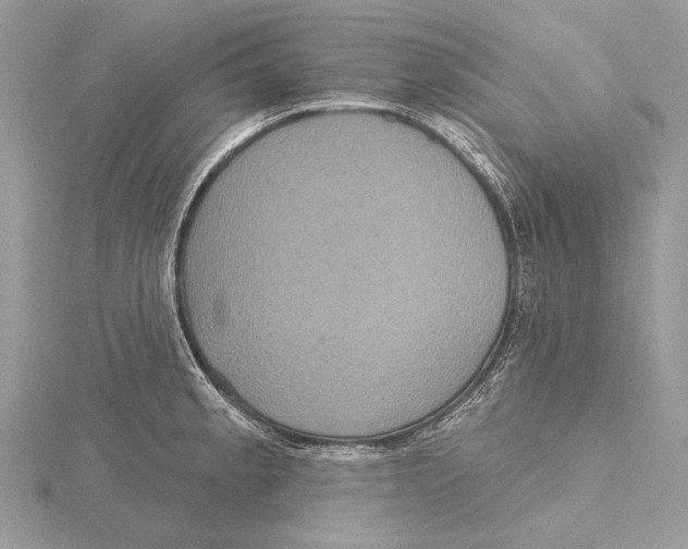 X0000115451189200912020959